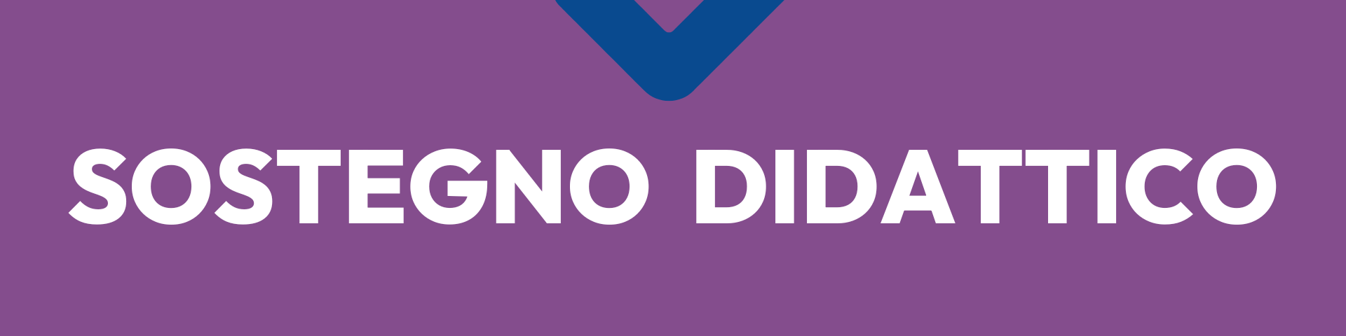 Sostegno Didattico