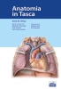 Anatomia in Tasca