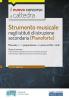 Strumento musicale negli istituti di istruzione secondaria