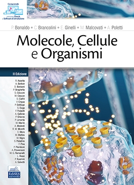 Molecole, Cellule e Organismi Molecole, Cellule e Organismi
