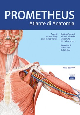 Atlante di Anatomia - Prometheus Atlante di Anatomia - Prometheus