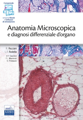Anatomia Microscopica e diagnosi differenziale d'organo Anatomia Microscopica e diagnosi differenziale d'organo