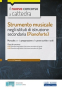 Strumento musicale negli istituti di istruzione secondaria