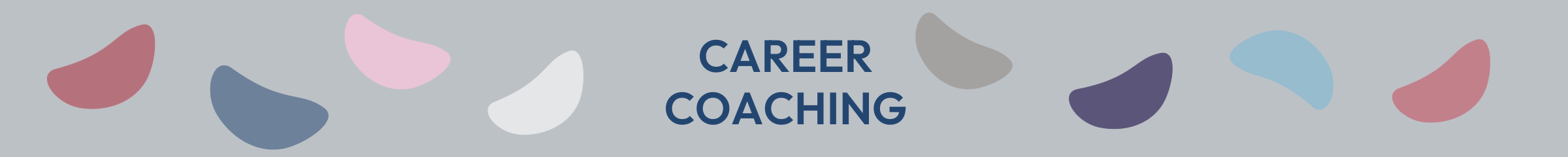 Career Coaching Career Coaching