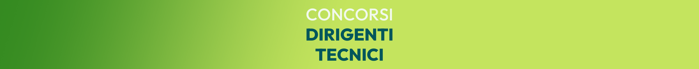 Dirigente tecnico/ispettore Dirigente tecnico/ispettore
